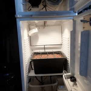 1594907881090.png 1594907881090.png