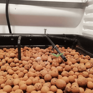 1594907892918.png 1594907892918.png