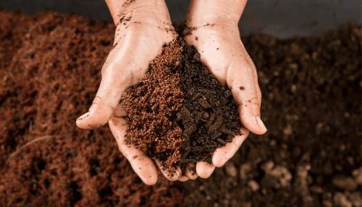 1595535300909.png 1595535300909.png