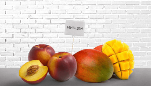 Терпен мирцен в конопле Терпен мирцен в конопле