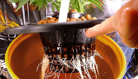 1595672408539.png 1595672408539.png