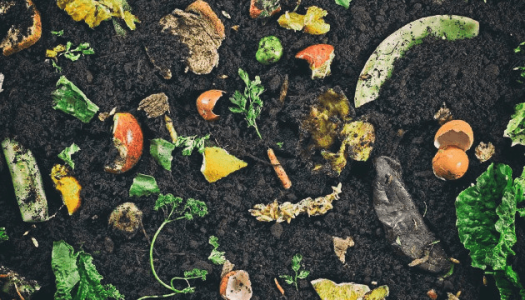 1595769443676.png 1595769443676.png