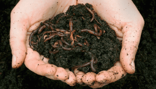 1595769492064.png 1595769492064.png