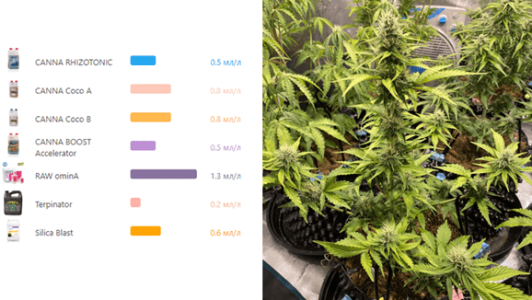 1596122506237.png 1596122506237.png