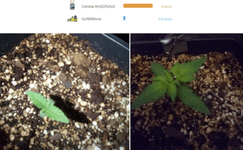 1596461403751.png 1596461403751.png