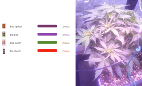 1596461443730.png 1596461443730.png