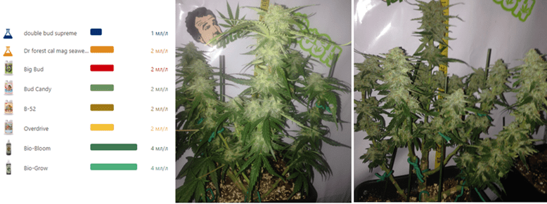 1596461466740.png 1596461466740.png