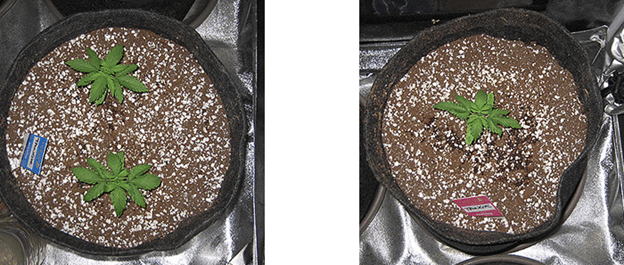 1596487405234.png 1596487405234.png