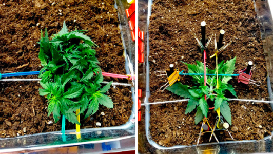 1597586928696.png 1597586928696.png