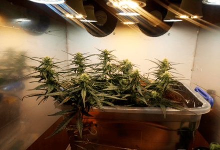 1597586956161.png 1597586956161.png