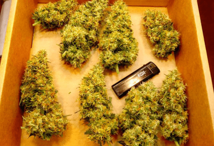 1597587005870.png 1597587005870.png