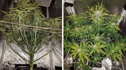 1597682438991.png 1597682438991.png