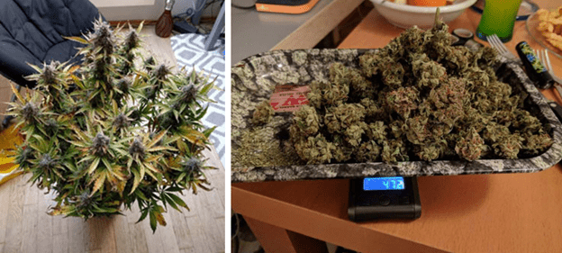 1597682497331.png 1597682497331.png