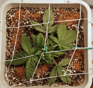 1598993380204.png 1598993380204.png