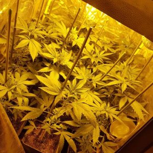 week4.4.jpg week4.4.jpg