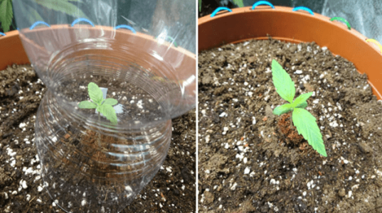 1599839541249.png 1599839541249.png