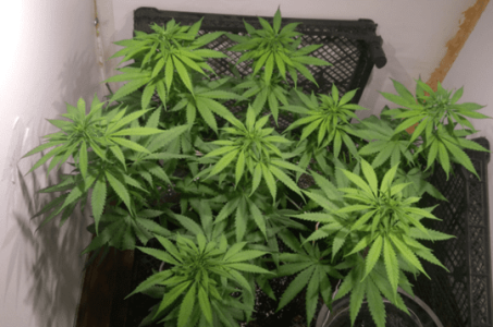 1600245272296.png 1600245272296.png