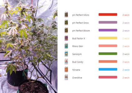 1600349489186.png 1600349489186.png