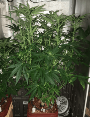 1600688405505.png 1600688405505.png