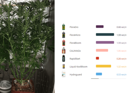 1600688409605.png 1600688409605.png