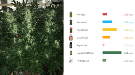 1600688417841.png 1600688417841.png