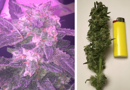 1600688422014.png 1600688422014.png