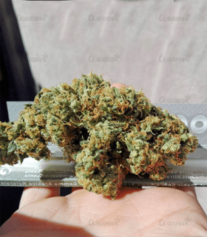 1602259601142.png 1602259601142.png