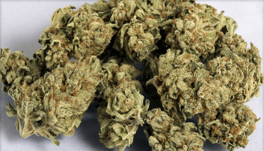 1603546883439.png 1603546883439.png