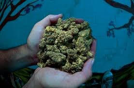 GIRLSC.jpg GIRLSC.jpg