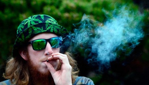 Kak-kannabis-vozdejstvuet-na-legkie__QVgX9Pp4ZuuYuYvx.jpg Kak-kannabis-vozdejstvuet-na-legkie__QVgX9Pp4ZuuYuYvx.jpg