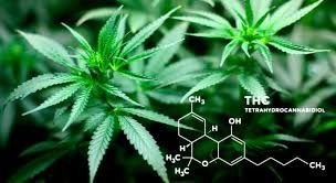 images.jpg images.jpg