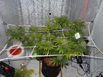 DSC00078.jpg DSC00078.jpg