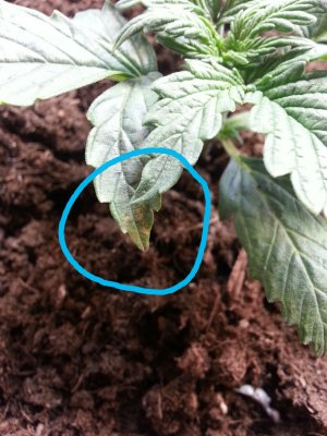 IMG_20220318_094040.jpg IMG_20220318_094040.jpg