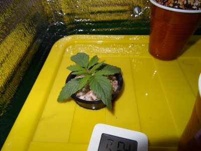 DSC00112.jpg DSC00112.jpg