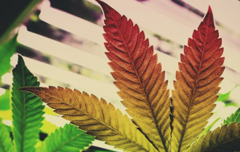 1647686948064.png 1647686948064.png