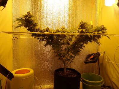 DSC00120.jpg DSC00120.jpg