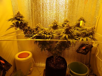 DSC00123.jpg DSC00123.jpg