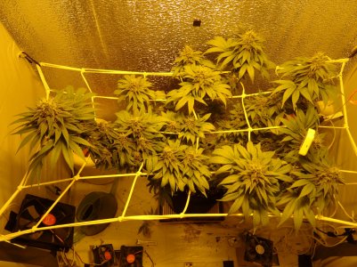 DSC00124.jpg DSC00124.jpg