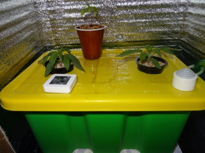 DSC00134.jpg DSC00134.jpg