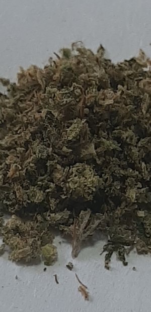 20220322_083536.jpg 20220322_083536.jpg