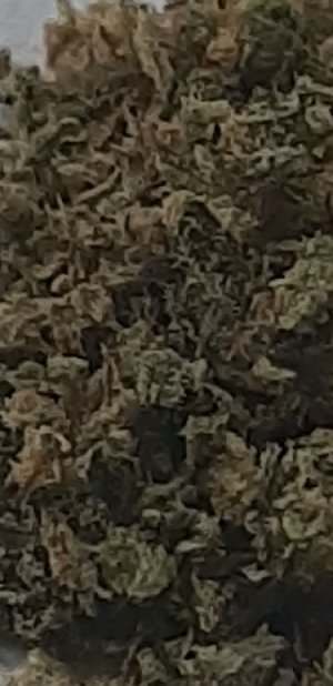 20220322_083514.jpg 20220322_083514.jpg