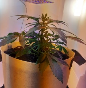 20220328_111323.jpg 20220328_111323.jpg