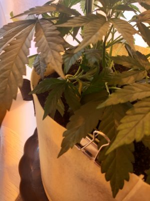 20220330_104904.jpg 20220330_104904.jpg