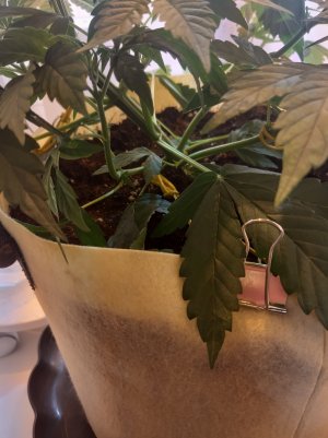 20220330_104942.jpg 20220330_104942.jpg