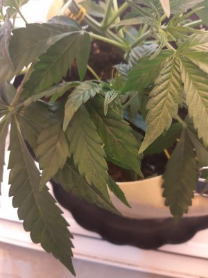 20220330_104959.jpg 20220330_104959.jpg