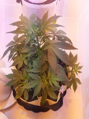 20220330_110910.jpg 20220330_110910.jpg