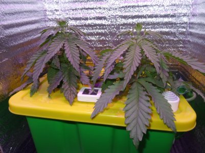 DSC00198.jpg DSC00198.jpg