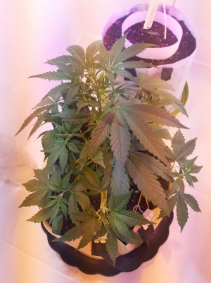 20220331_075858.jpg 20220331_075858.jpg