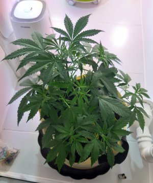 20220331_075828.jpg 20220331_075828.jpg