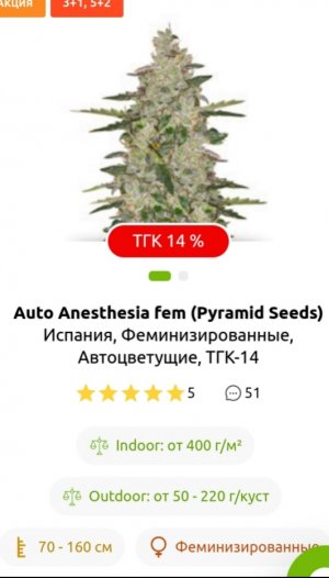 IMG_20220401_103052.jpg IMG_20220401_103052.jpg